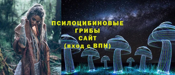 тгк Осташков