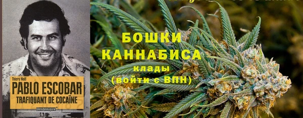 тгк Осташков