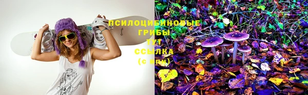 мяу мяу мука Остров