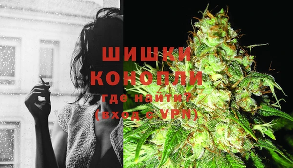 тгк Осташков