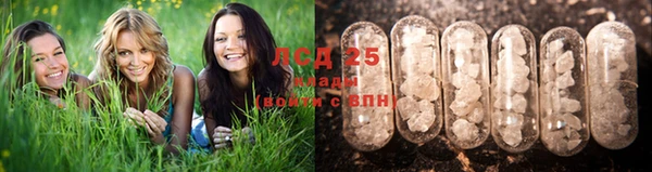 тгк Осташков